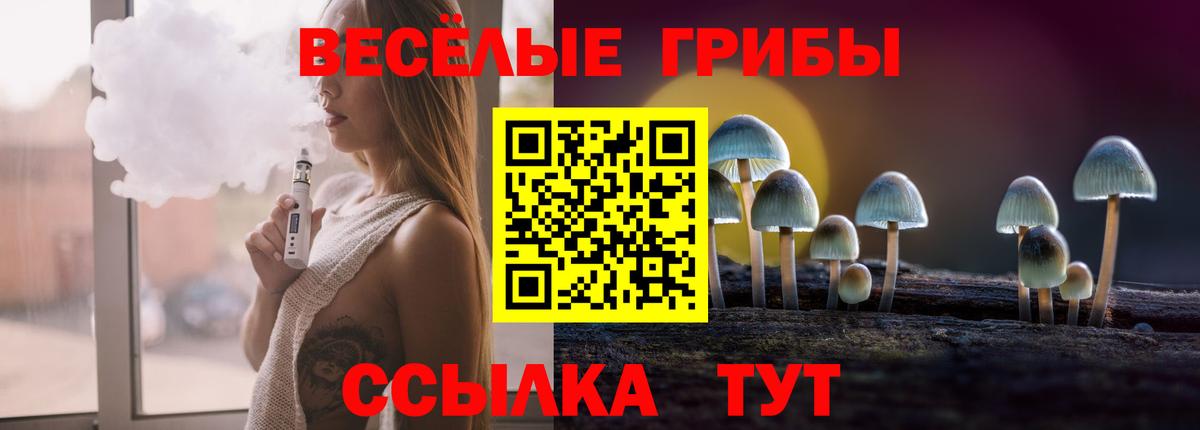 Галлюциногенные грибы Magic Shrooms  Вход с VPN  Ставрополь 